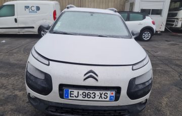 Citroen C4 CACTUS – 547531 (17)