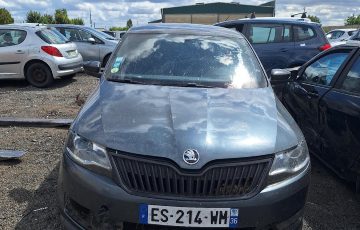 Skoda RAPID SPACEBACK PHASE 1 – 556278 – VEHICULE SUR LE SITE DE VARENNES-JARCY (17)