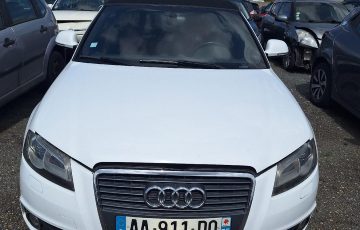 Audi A3 2 CABRIO PHASE 2 – 557808 – VEHICULE SUR VARENNES-JARCY (17)